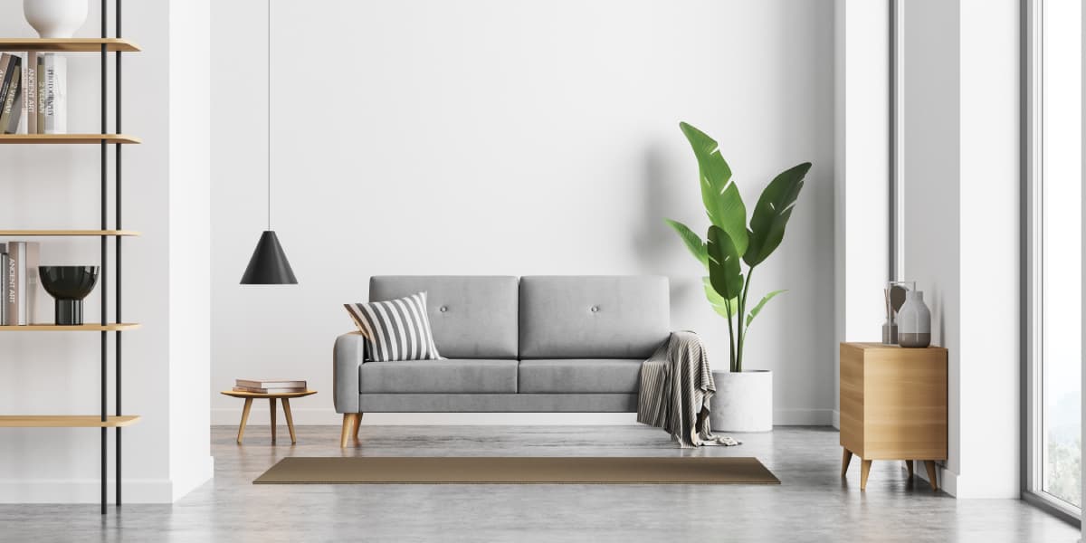 Grey sofa with plant and rug on grey floor