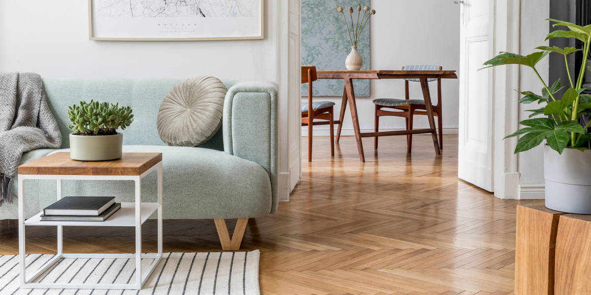 Green pastel sofa in living room with wooden flooring