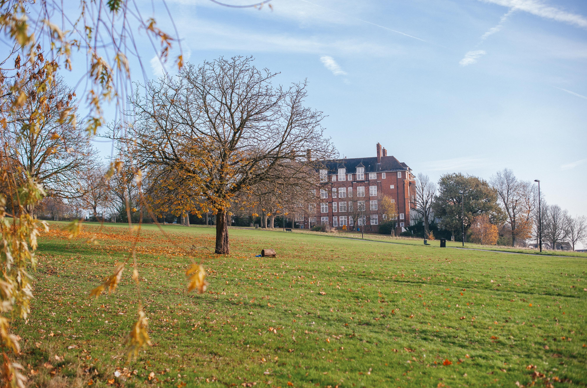 screenshot-2026-03-26-153501png